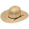 Twister Bangora Open Crown Straw Cowboy Hat