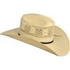 Bailey Men's Ricker Straw Cowboy Hat