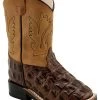Old West Toddler Boys' Faux Horn Back Gator Print Western Boots - Broad Square Toe